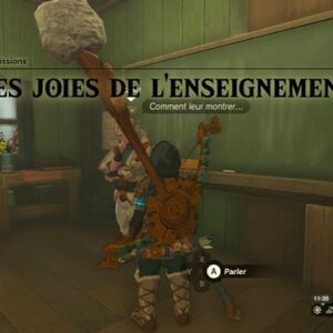 Les joies de l'enseignement Zelda Tears Of The Kingdom-3