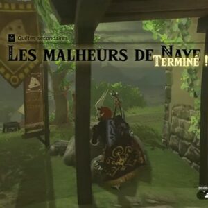 Les malheurs de Naye Zelda Tears of the Kingdom