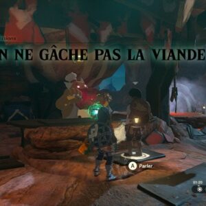 On ne gâche pas la viande Zelda Tears of the Kingdom-1