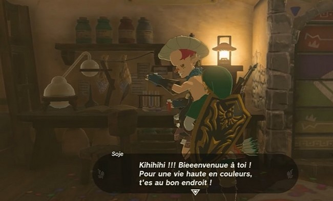Rénover la Paravoile Zelda Tears of The Kingdom