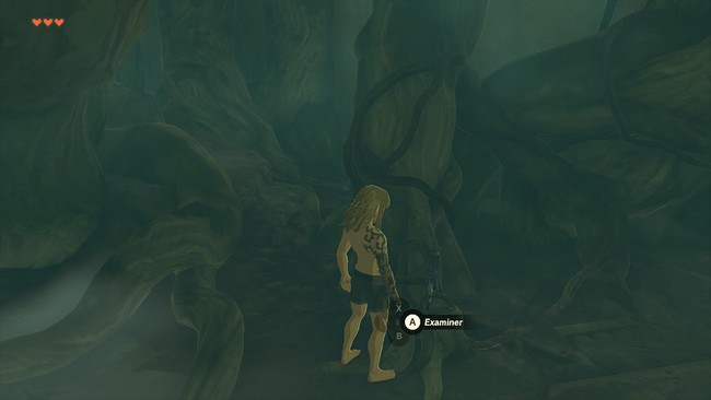 Solution énigme la chambre d'éveil Zelda Tears of the Kingdom