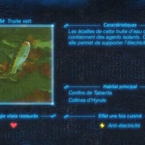 Truite Volt Zelda Tears of the Kingdom