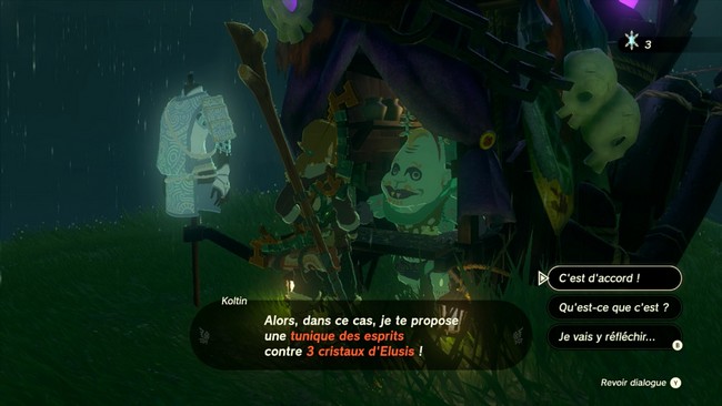 Tunique des esprits Zelda Tears of the Kingdom