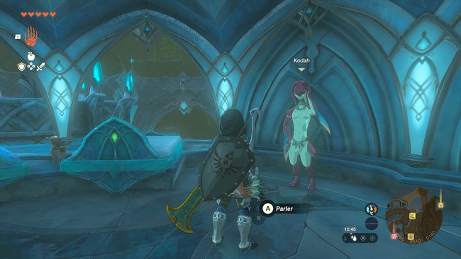 Un généreux trésor-Zelda Tears Of The Kingdom