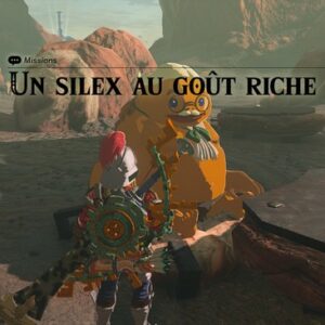 Un silex au goût de riche Zelda Tears of the Kingdom-1