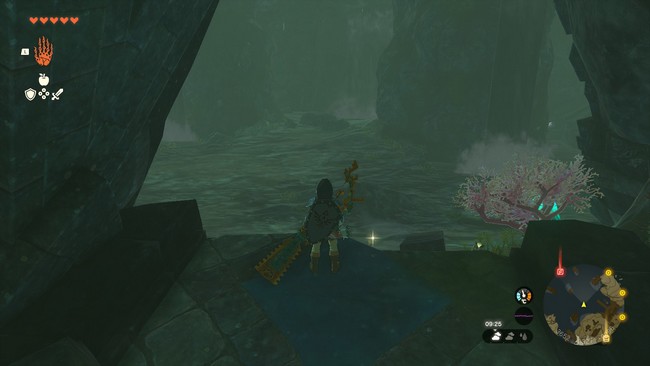 Un symbole d'amitié-Zelda Tears Of The Kingdom-8