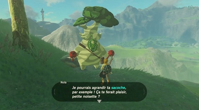 Agrandir son inventaire dans Zelda Tears of the Kingdom