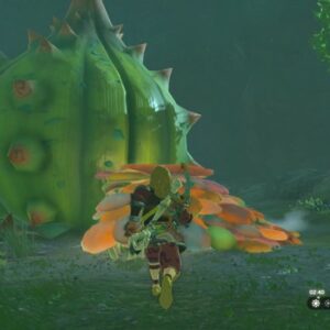débloquer la Grande Fée Cotura dans Zelda Tears Of The Kingdom
