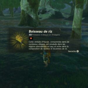 emplacement Boisseau de riz Zelda Tears of the Kingdom