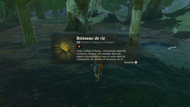 emplacement Boisseau de riz Zelda Tears of the Kingdom
