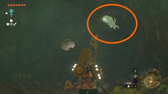 On dit qu'il y a un Elusis (une sorte grenouille accrochée au plafond) dans chaque grotte, et peut-être aussi dans certains puits et tunnels.