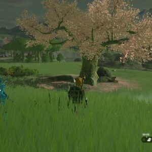 trouver tous les cerisiers Satori dans Tears of the Kingdom