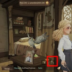 Ajouter des amis dans Harry Potter La Magie Émerge