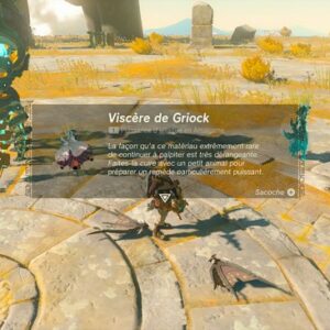 Comment obtenir le Viscère de Griock dans Zelda Tears of the Kingdom