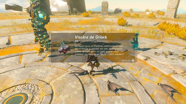 Comment obtenir le Viscère de Griock dans Zelda Tears of the Kingdom