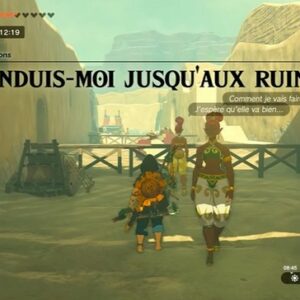 Conduis-moi jusqu'aux ruines Zelda Tears of the Kingdom