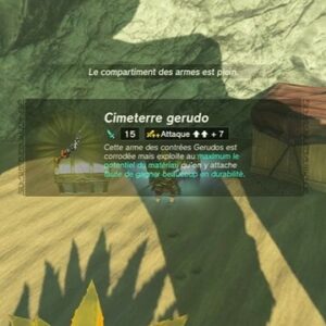 Emplacement Cimeterre Gerudo Zelda Tears of the Kingdom