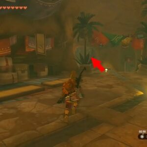 Emplacement second orbe Zelda Tears of the Kingdom