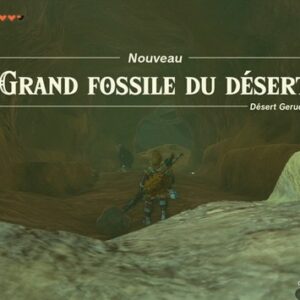 Grand fossile du désert-2