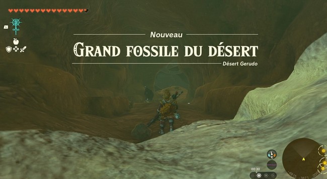 Grand fossile du désert-2