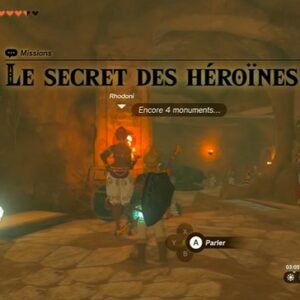 Le Secret des Héroïnes- Zelda Tears of the Kingdom-2