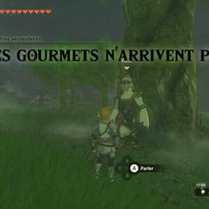 Les gourmets n’arrivent pas-Zelda Tears of the Kingdom-1