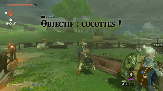 Objectif cocottes-Zelda Tears of the Kingdom