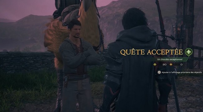 Un Chocobo d'Exception -Final Fantasy 16