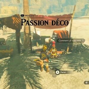 mission Passion Déco-Zelda Tears of the Kingdom-1