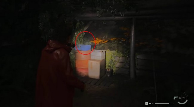 Alan Wake 2 emplacement fusible