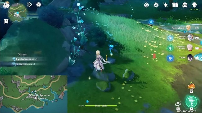 Emplacement Lys lacmineux dans Genshin Impact