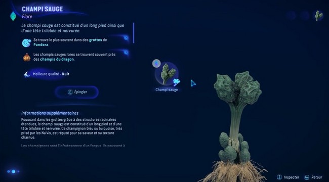 Champi sauge-Avatar Frontiers of Pandora