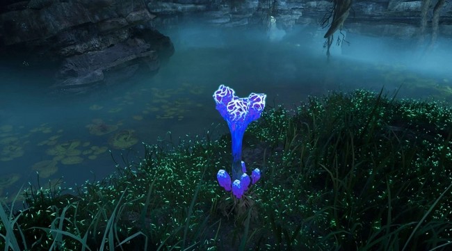 Champi sauge dans Avatar Frontiers of Pandora