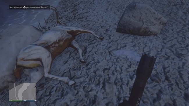 Emplacement indice 4 : le cerf