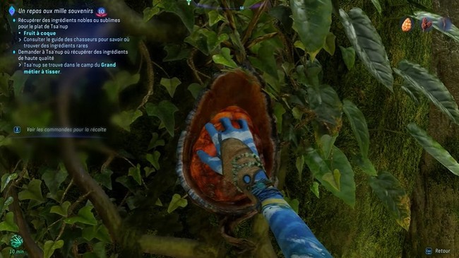 Fruit à coque -Avatar Frontiers of Pandora-1