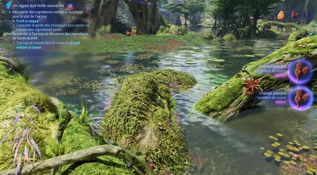 champis pourpres noble-Avatar Frontiers of Pandora