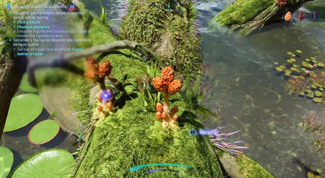 emplacement champis pourpres-Avatar Frontiers of Pandora