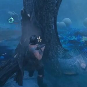 Emplacement Résine Enshrouded