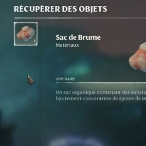 Sacs de brume à Enshrouded
