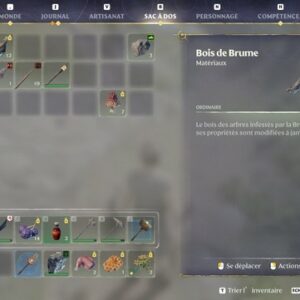 bois de brume sur Enshrouded