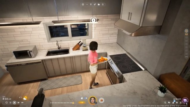 Quelle est la date de sortie de inZOI