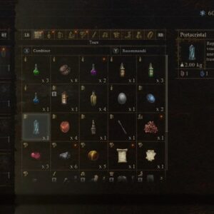 Portacristal Dragon's Dogma 2