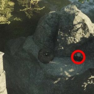 Comment récupérer des coffres en hauteur dans Dragon's Dogma 2