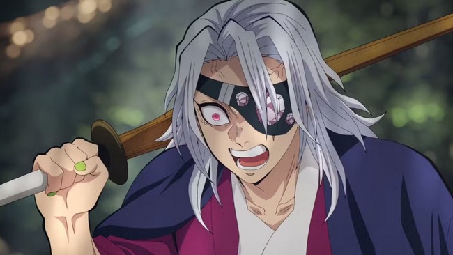 Demon Slayer Hashira Training Arc