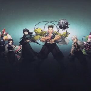 Demon Slayer Kimetsu no Yaiba L'entraînement des piliers