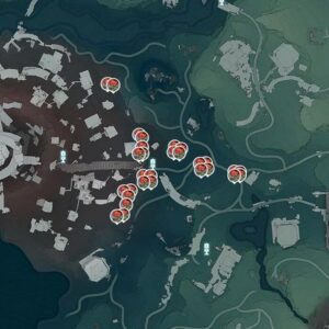 Bel Coquelicot dans Wuthering Waves