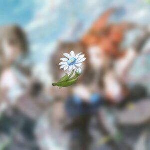 Emplacements Belle d'hiver Wuthering Waves