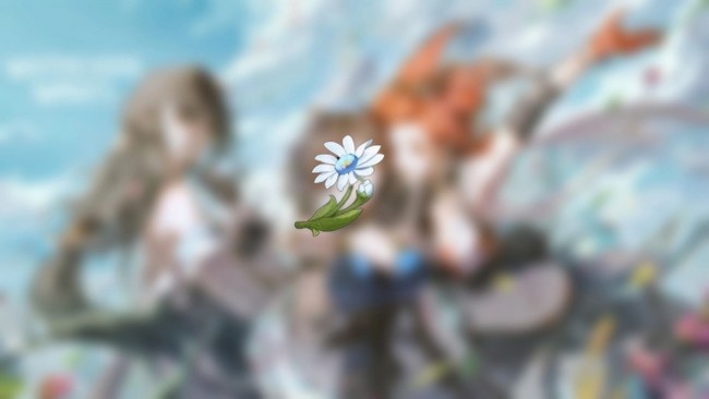 Emplacements Belle d'hiver Wuthering Waves