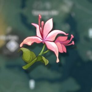 Fleur de paon Wuthering Waves