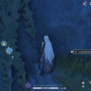 Fruit de la lanterne Wuthering Waves